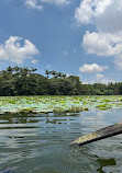 Karanji Lake Boating point.