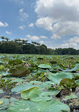 Karanji Lake Boating point.