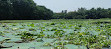 Karanji Lake Boating point.