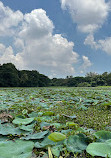 Karanji Lake Boating point.