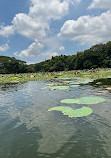 Karanji Lake Boating point.