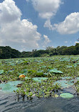 Karanji Lake Boating point.