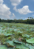 Karanji Lake Boating point.