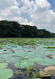 Karanji Lake Boating point.