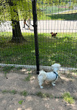 Patterson Dog Park