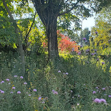 Berkshire Botanical Garden