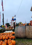 Pumpkin Village Fall Fest