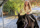 Pumpkin Village Fall Fest