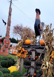 Pumpkin Village Fall Fest