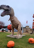 Pumpkin Village Fall Fest