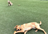 Takoma Park Dog Park