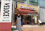 CAFFE VELOCE