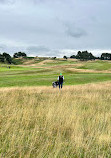 Delamere Forest Golf Club