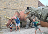 The Dinosaur Museum