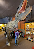 The Dinosaur Museum