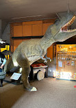 The Dinosaur Museum