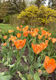 Assiniboine Park