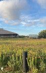 Living Prairie Museum