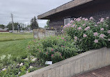 Living Prairie Museum