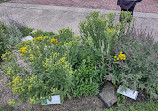 Living Prairie Museum