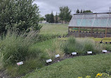 Living Prairie Museum