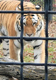 Assiniboine Park Zoo