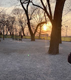 Lincoln Park Dog Run