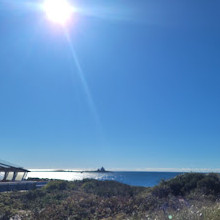 Napatree Point Conservation Area