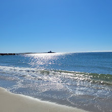 Napatree Point Conservation Area