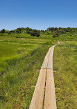 Cape Cod Museum Of Natural History