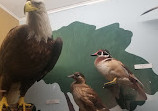 Cape Cod Museum Of Natural History