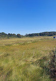 Cape Cod Museum Of Natural History