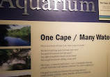 Cape Cod Museum Of Natural History