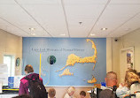 Cape Cod Museum Of Natural History