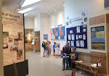 Cape Cod Museum Of Natural History