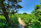 Cape Cod Museum Of Natural History