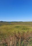 Cape Cod Museum Of Natural History