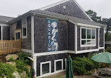 Cape Cod Museum Of Natural History