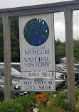 Cape Cod Museum Of Natural History