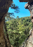 Pedestal Rocks & Kings Bluff Trailhead