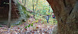 Pedestal Rocks & Kings Bluff Trailhead