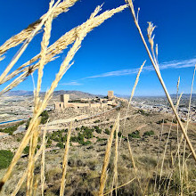 Castle of Lorca