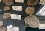 Geologisch Museum