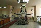 Geological Museum