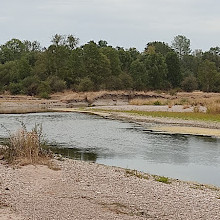 Réserve naturelle régionale de la Moselle sauvage