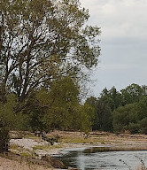 Réserve naturelle régionale de la Moselle sauvage