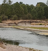 Réserve naturelle régionale de la Moselle sauvage