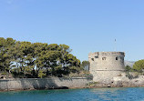 Visit the harbor of Toulon