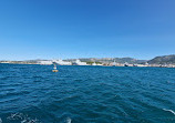 Visit the harbor of Toulon