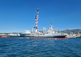 Visit the harbor of Toulon